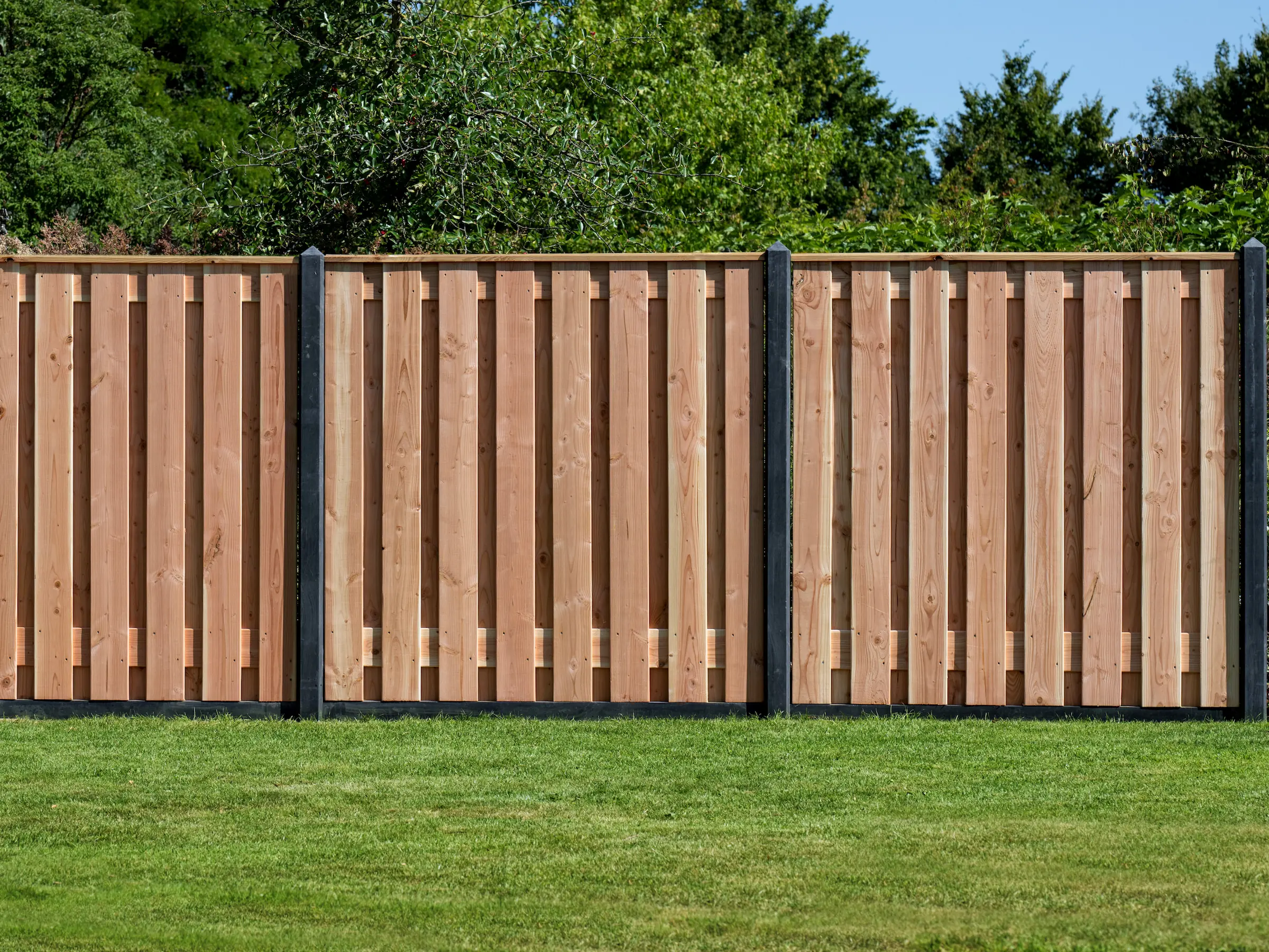 Hout-beton schutting Redwood