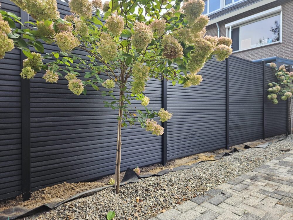 Black Rhombus lijnopstelling